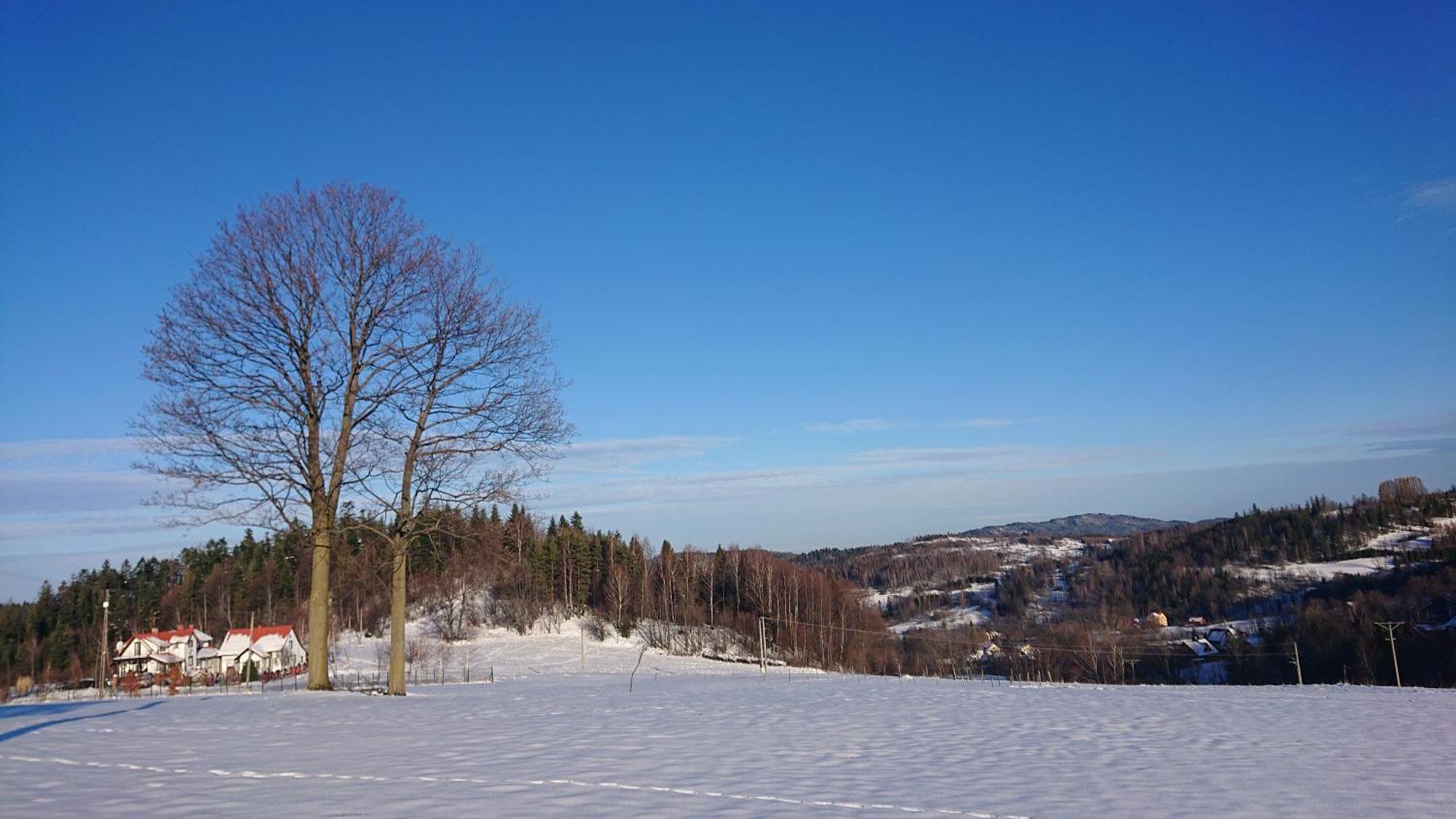 Apartamenty Widokowa Korbielów Exteriör bild
